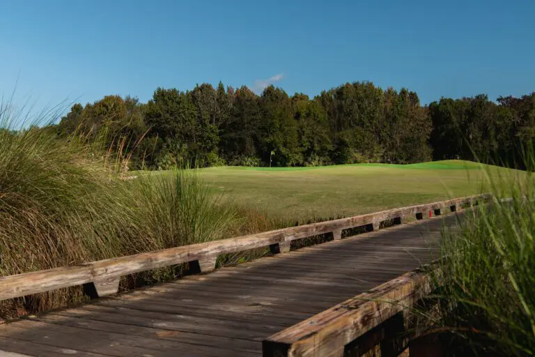 golf-executive-gray fox-5