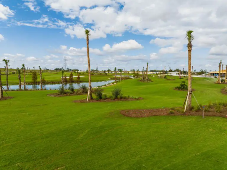 golf-pitch-putt-mickylee-01