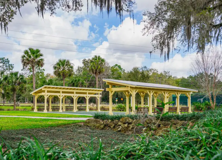 Spanish Moss Recreation Pool & Bocce Fun