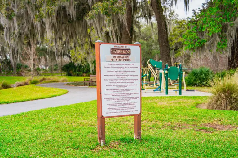 Spanish Moss Recreation Pool & Bocce Fun