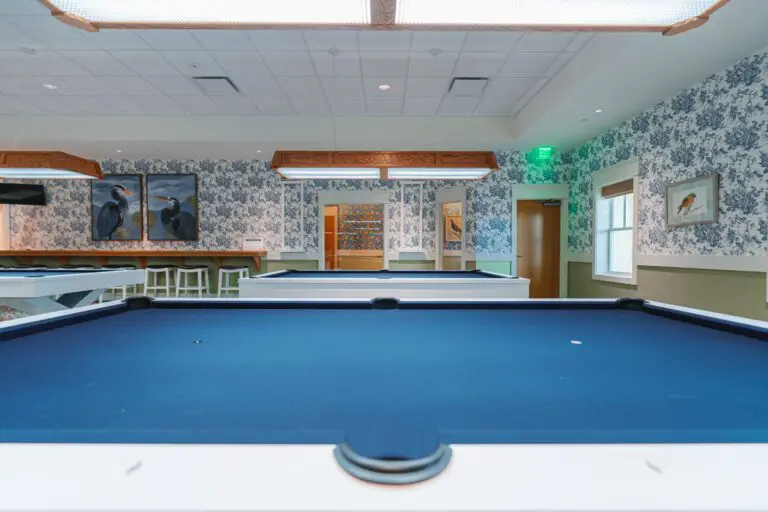 recreation-aviary-10