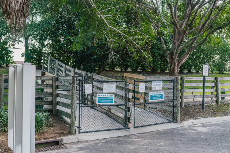 recreation-dog-park-brinson-perry-01