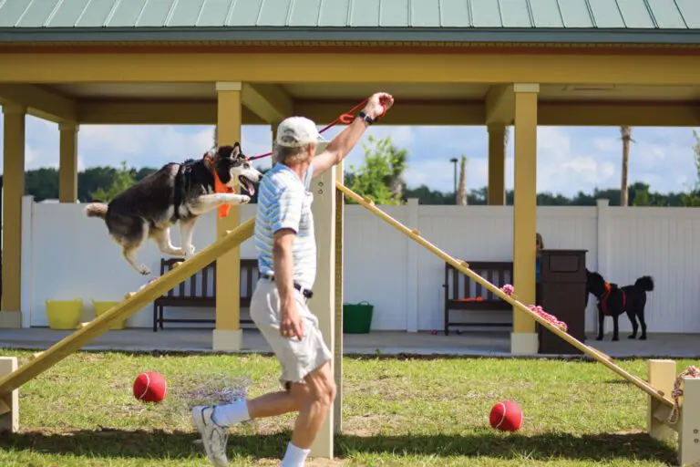 DSC_0650.jpg
Collections-Furry Friends-Dudley Dog Park