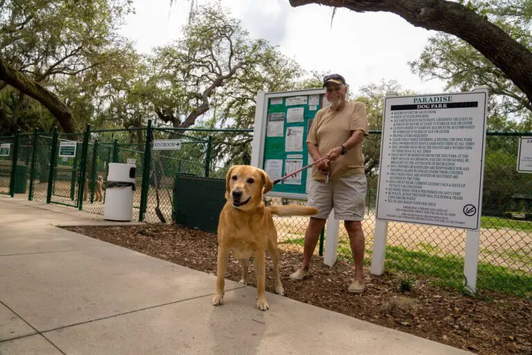 recreation-dog-park-paradise-01