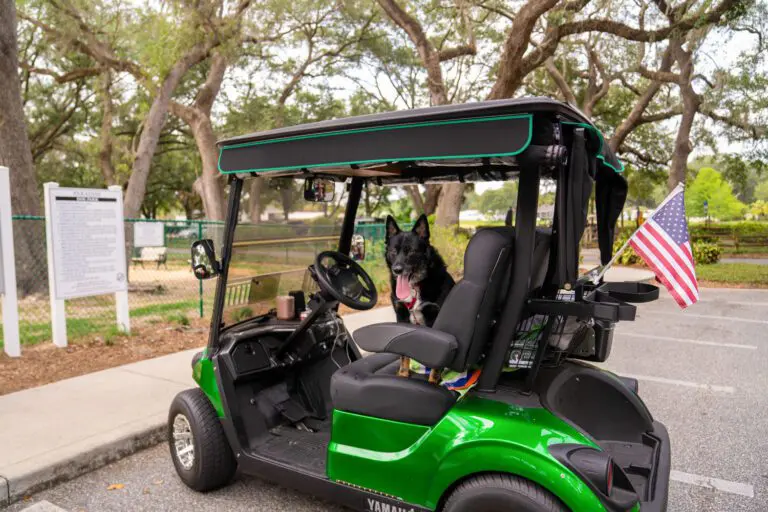 recreation-dog-park-paradise-05