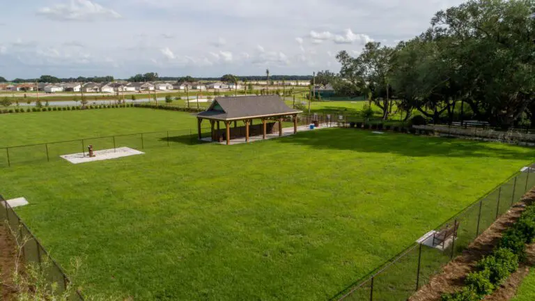 recreation-dog-park-rupert-canine-03