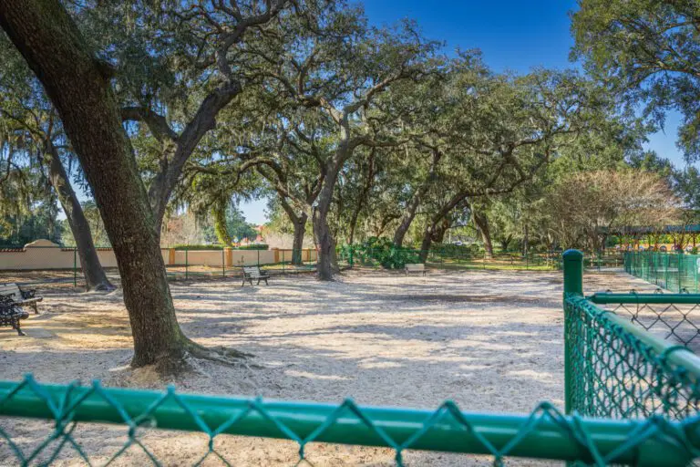 recreation-paradise-dog-park-11