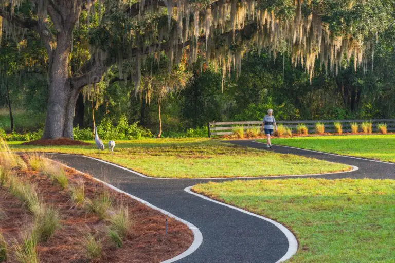 trails-parks-black-lake-walking-path-05