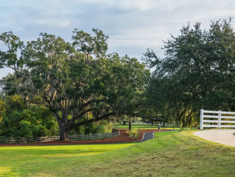 trails-parks-black-lake-walking-path-06