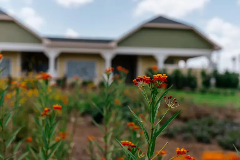 trails-parks-deluna-pathway-02