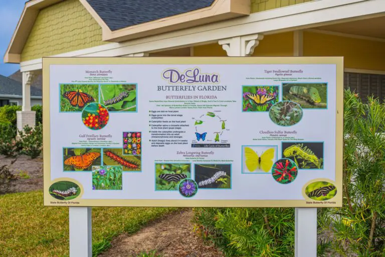 trails-parks-deluna-pathway-11