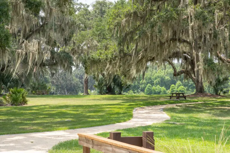 trails-parks-fenney-springs-nature-trail-08