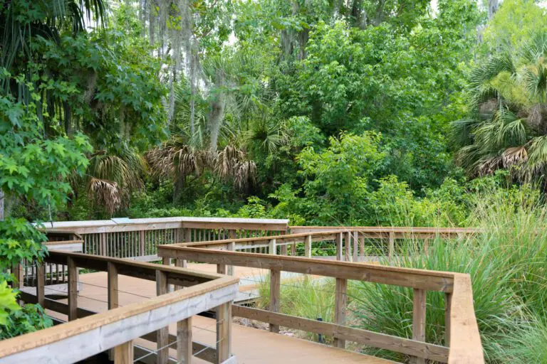 trails-parks-fenney-springs-nature-trail-11