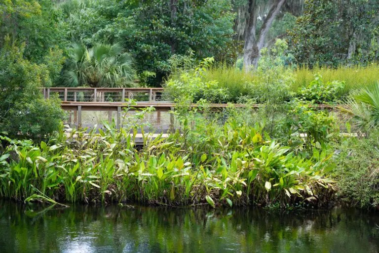 trails-parks-fenney-springs-nature-trail-12