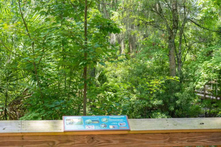 trails-parks-fenney-springs-nature-trail-13