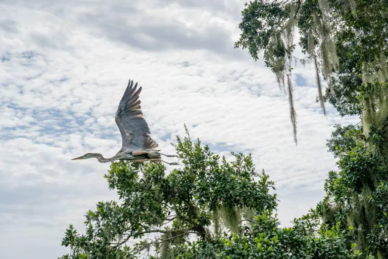 trails-parks-golfview-03