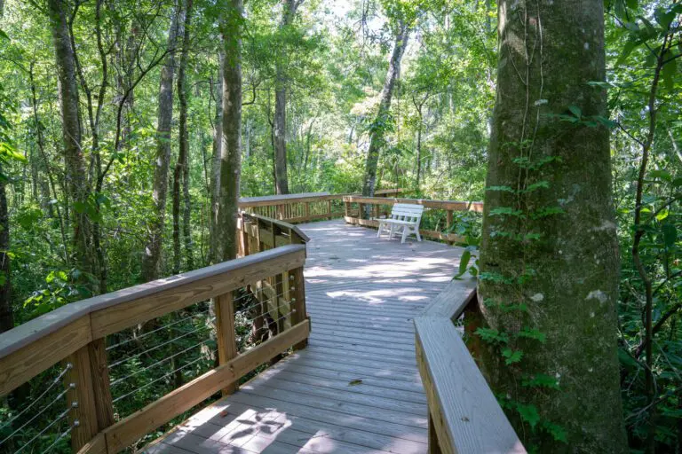 trails-parks-homestead-nature-03