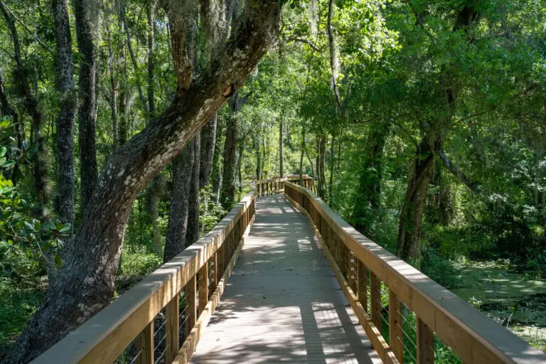 trails-parks-homestead-nature-07