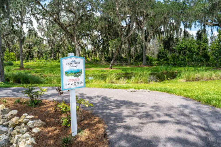 trails-parks-lake-okahumpka-pathway-01