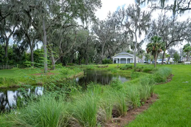 trails-parks-lake-okahumpka-pathway-04