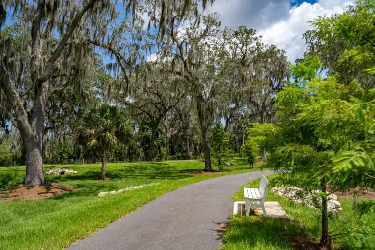 trails-parks-lake-okahumpka-pathway-06