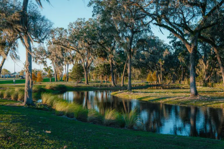 trails-parks-lake-okahumpka-pathway-09