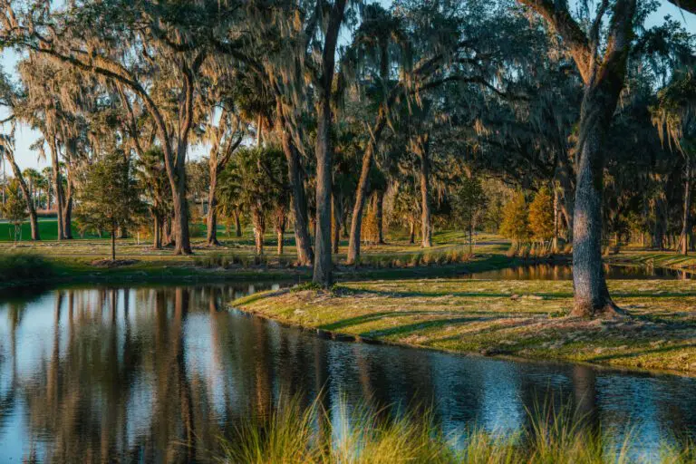 trails-parks-lake-okahumpka-pathway-10