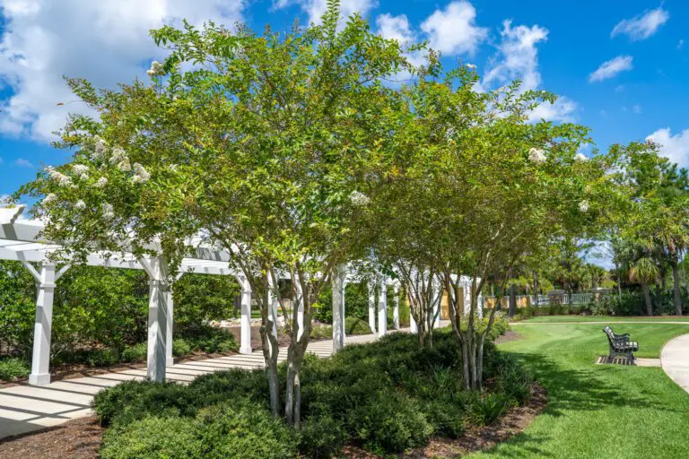 trails-parks-rohan-pathway-08