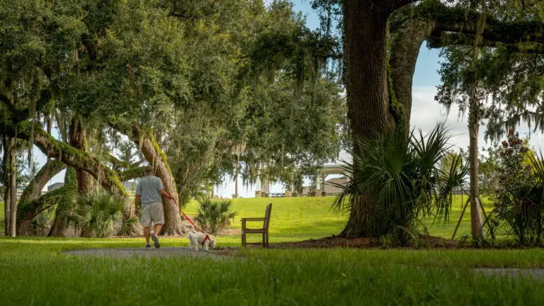 trails-parks-sugar-cane-02