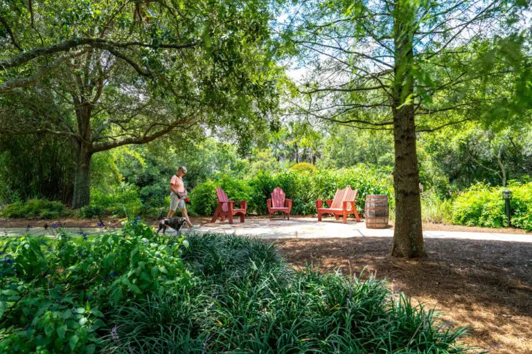 trails-parks-wilkerson-creek-park-09