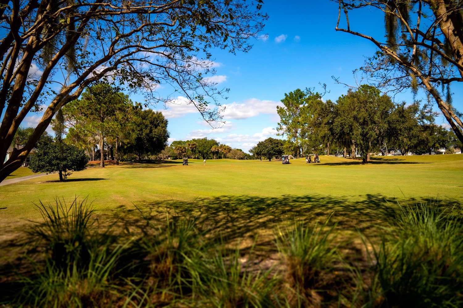 De la Vista Executive Golf Course in The Villages® Florida