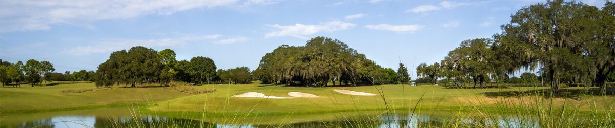 Briarwood Executive Golf Course in The Villages® Florida