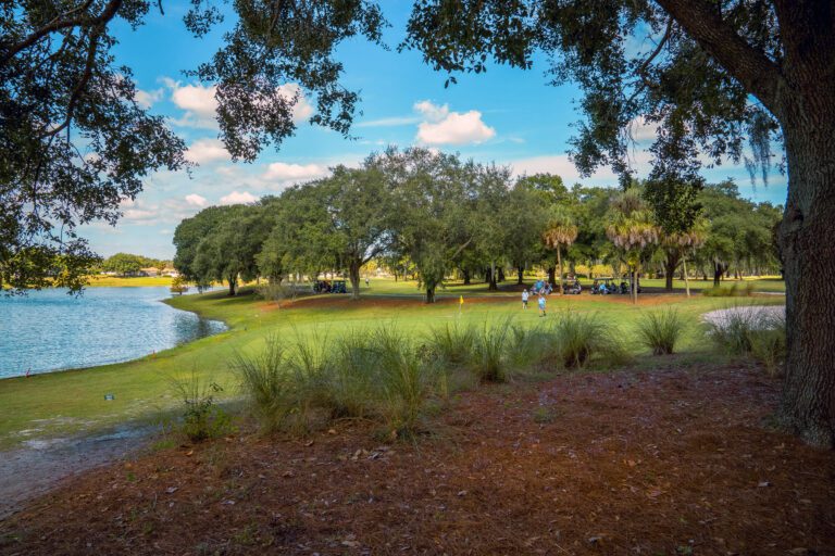 golf-executive-chula vista-3