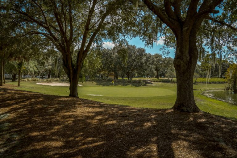 golf-executive-chula vista-4