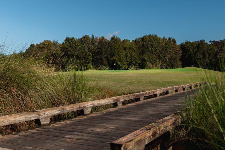 golf-executive-gray fox-5