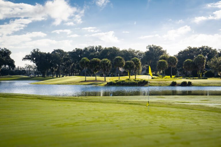 golf-executive-heron-4