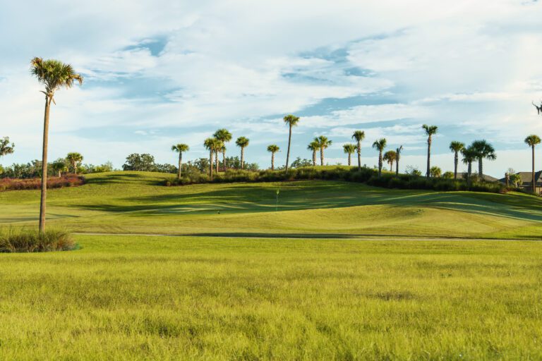 golf-executive-lowlands-1