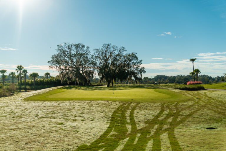 golf-executive-lowlands-2