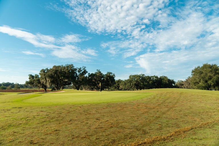 golf-executive-lowlands-3