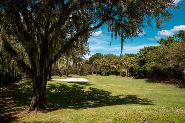 golf-executive-mira mesa-2