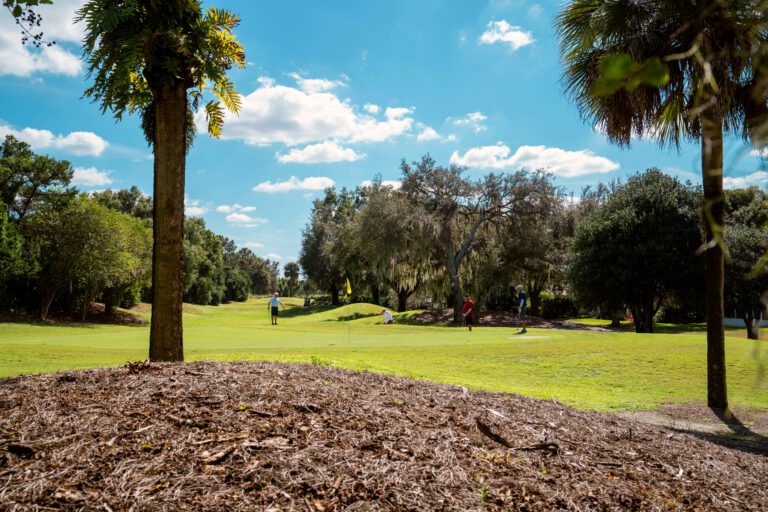 golf-executive-mira mesa-3