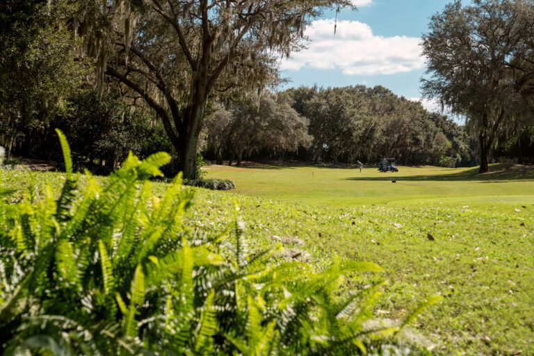 golf-executive-mira mesa-4