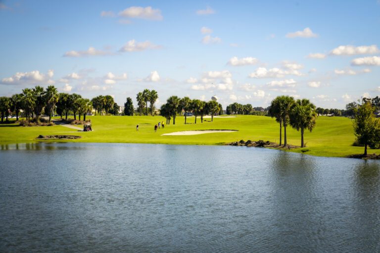 golf-executive-palmetto-2