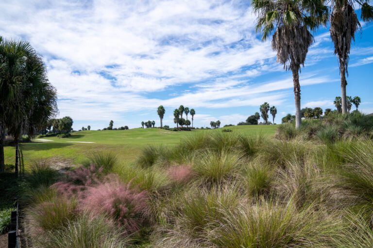 golf-executive-sandhill-5