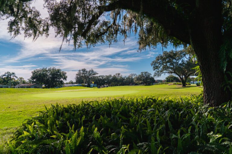 golf-executive-silver lake-4