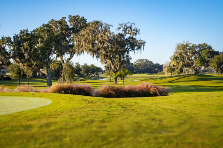 golf-executive-sweetgum-2