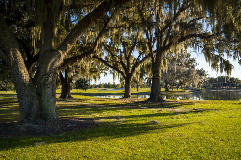 golf-executive-sweetgum-3