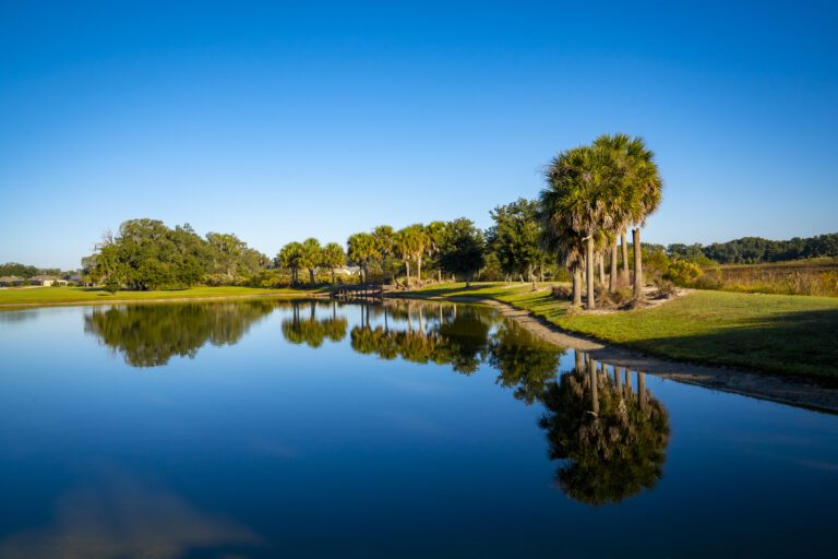 golf-executive-sweetgum-5