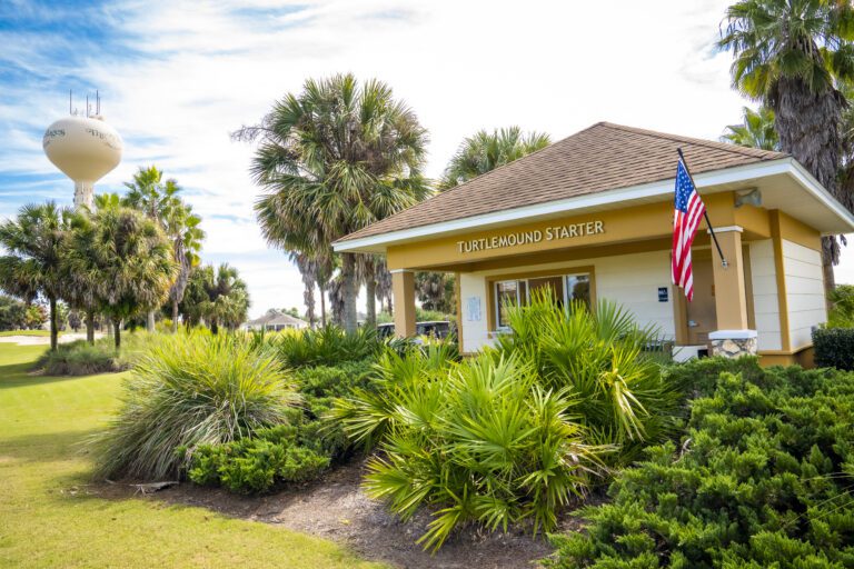 golf-executive-turtle mound-1