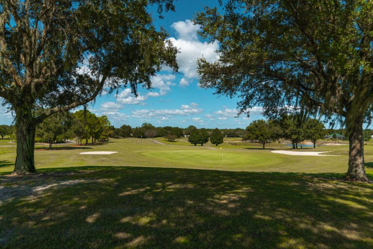 golf-executive-walnut grove-2